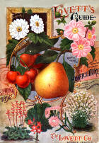 Seed Catalogue Cover 15